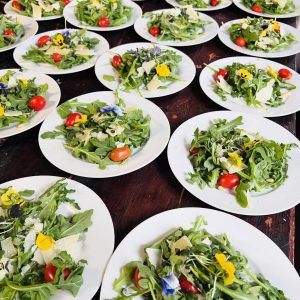 Salad